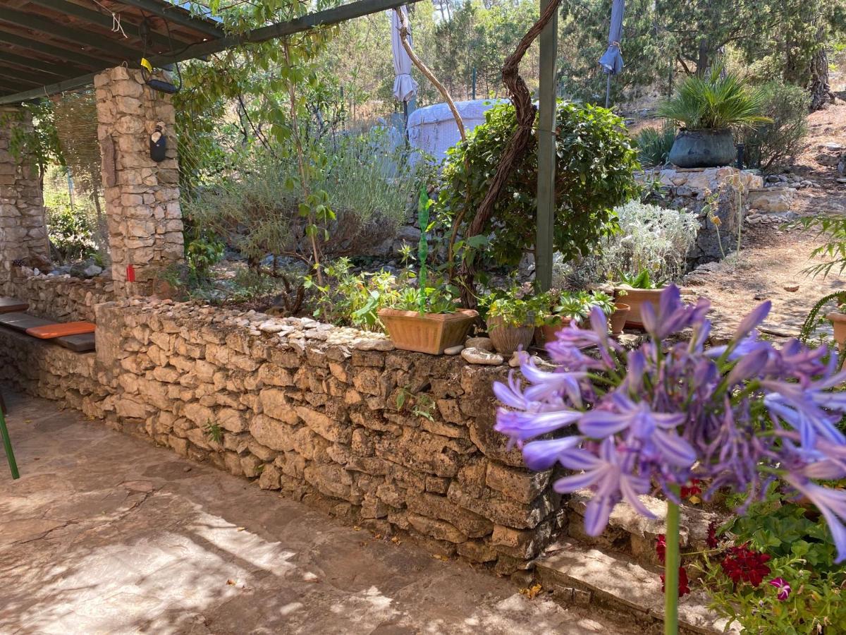Apartman Silna Your New Home With Terrace And Garden Bobovisca Exteriér fotografie